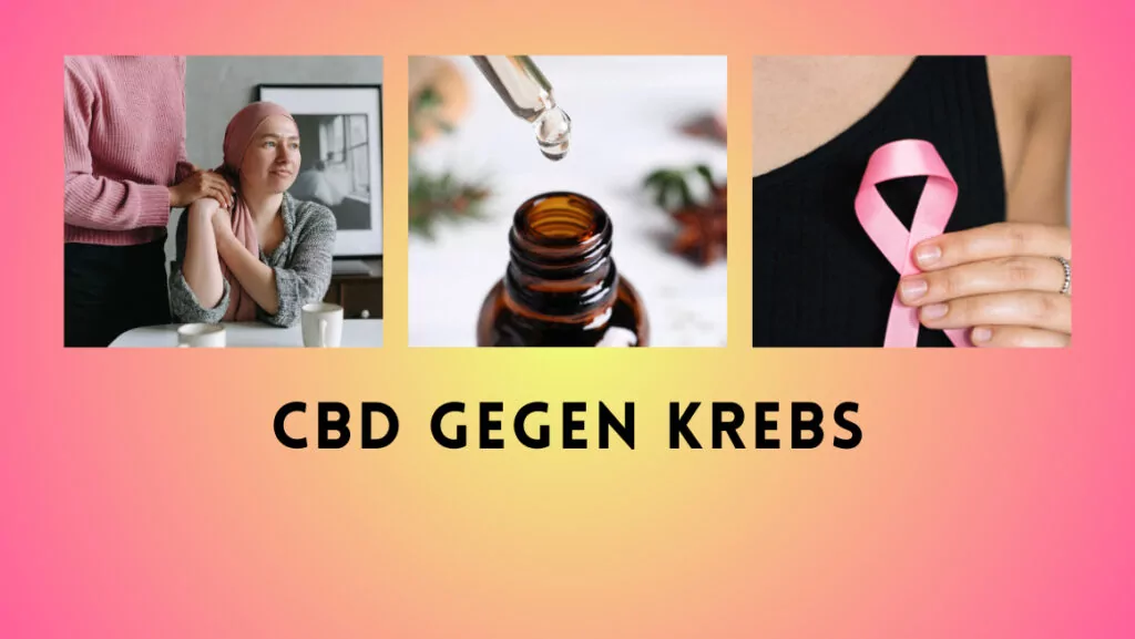 CBD gegen Krebs – das müssen Sie wissen!
