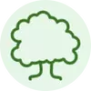 Pro Bestellung pflanzen wir einen Baum