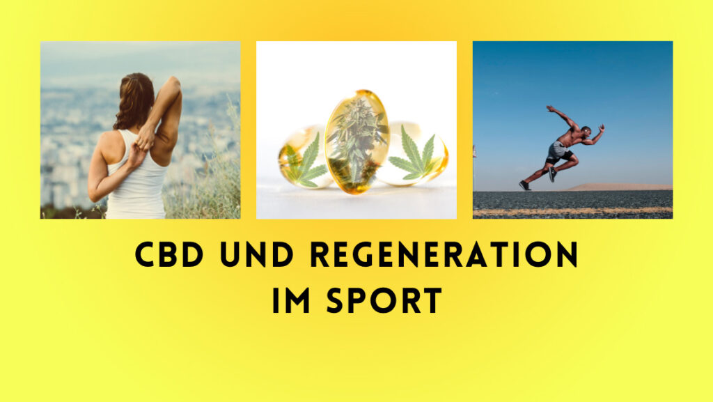 CBD und Regeneration im Sport